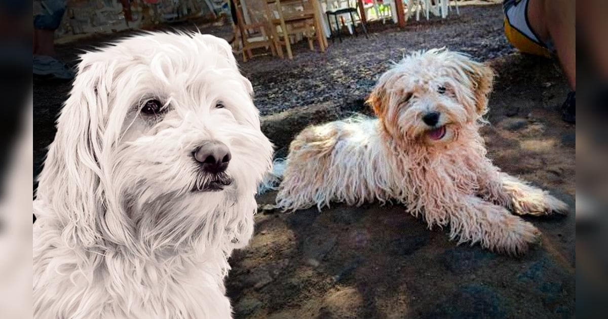 Perú busca reconocimiento internacional del chaku cusqueño