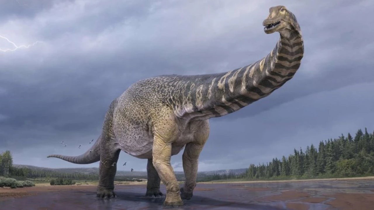 Hallan en Teruel el primer Diplodocus fuera de Norteamérica: un hallazgo que reescribe la historia