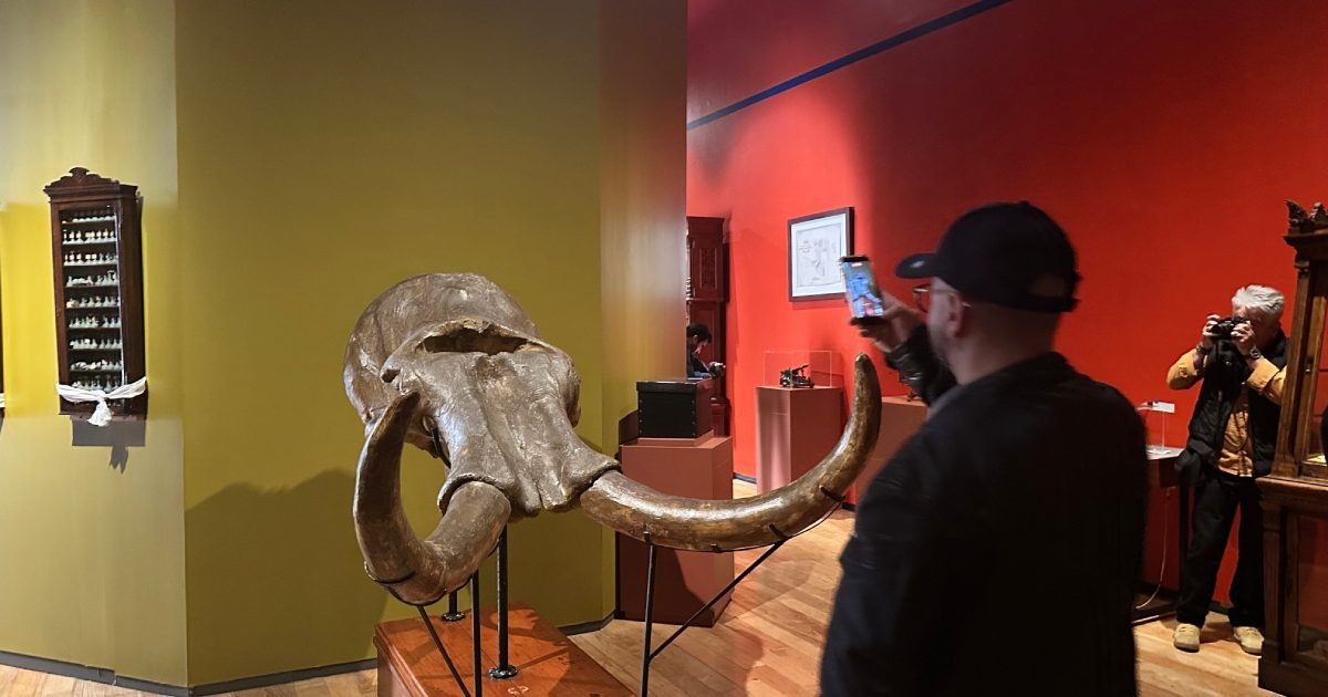 UNAM celebra 475 años con exposición histórica en San Ildefonso: más de 600 piezas en exhibición