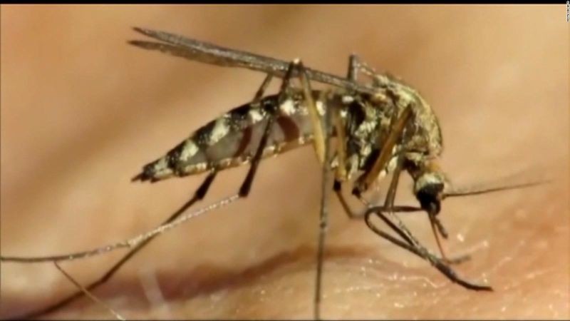 Virus del Nilo Occidental: alerta temprana y salud pública